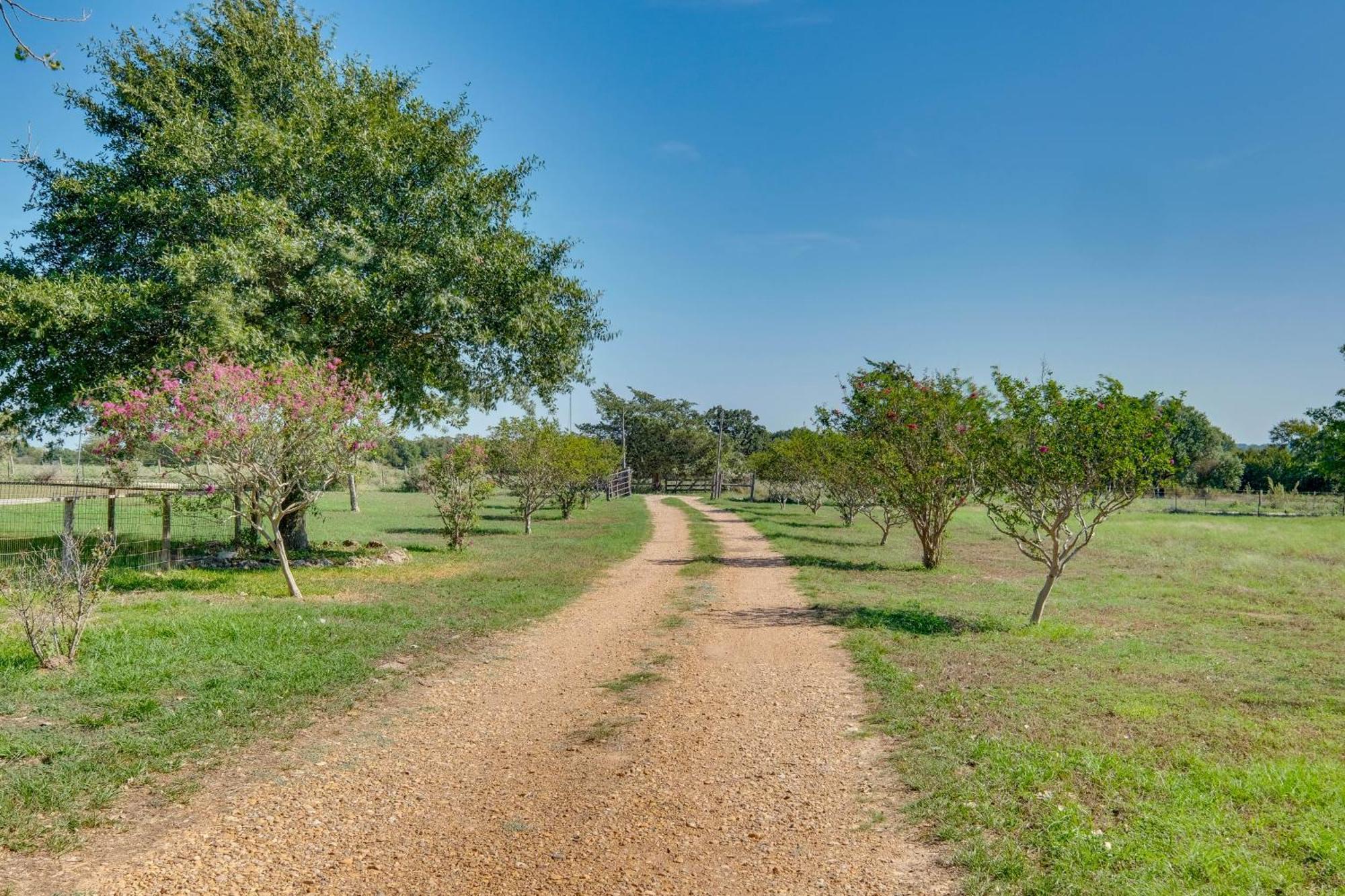 Delightful Carmine Studio On Farm Near Round Top! Eksteriør billede